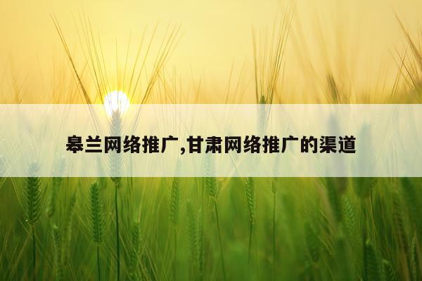 皋兰网络推广,甘肃网络推广的渠道