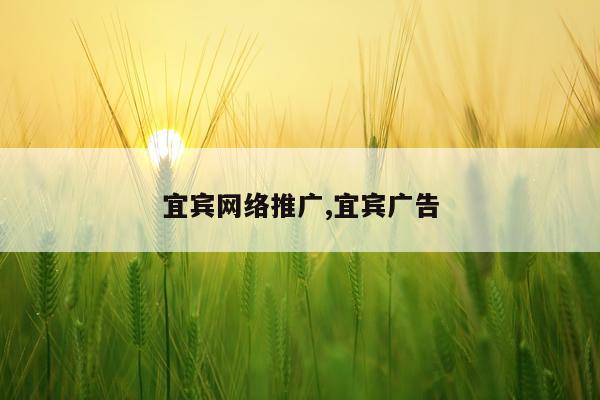 宜宾网络推广,宜宾广告