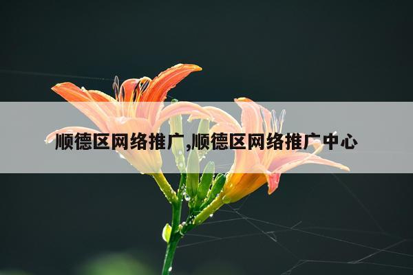 顺德区网络推广,顺德区网络推广中心