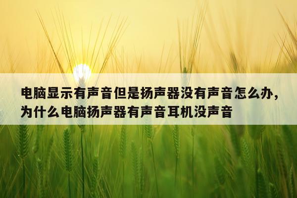 电脑显示有声音但是扬声器没有声音怎么办,为什么电脑扬声器有声音耳机没声音