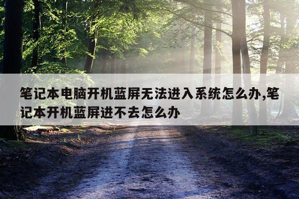 笔记本电脑开机蓝屏无法进入系统怎么办,笔记本开机蓝屏进不去怎么办