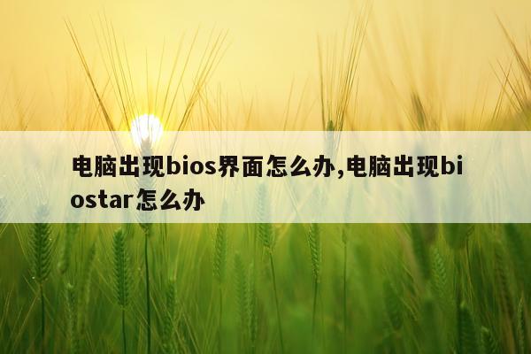 电脑出现bios界面怎么办,电脑出现biostar怎么办