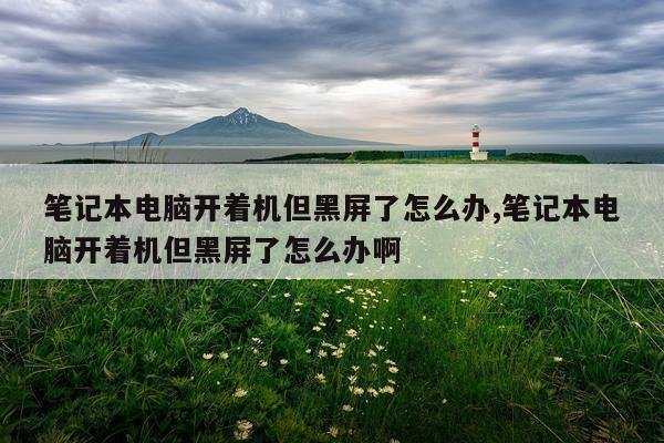 笔记本电脑开着机但黑屏了怎么办,笔记本电脑开着机但黑屏了怎么办啊