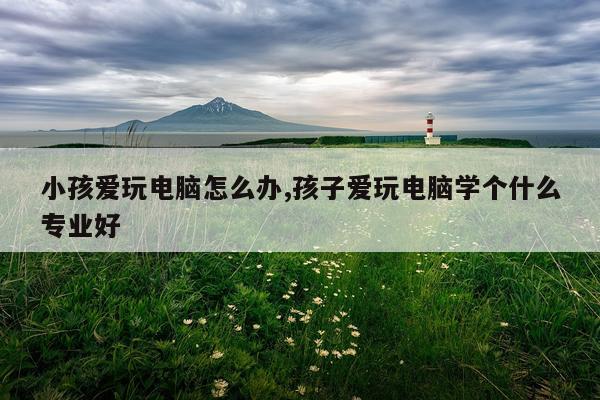 小孩爱玩电脑怎么办,孩子爱玩电脑学个什么专业好