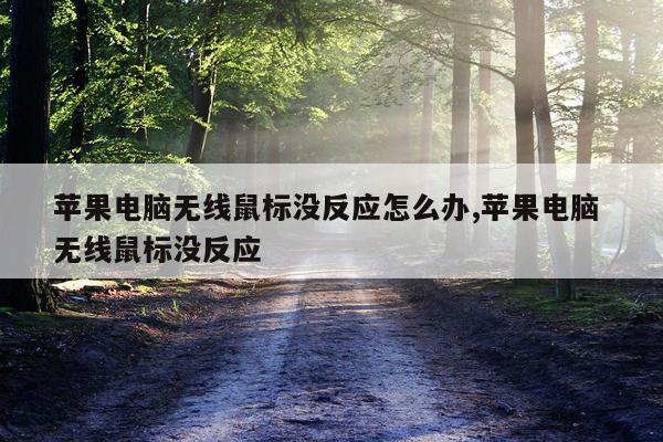 苹果电脑无线鼠标没反应怎么办,苹果电脑 无线鼠标没反应