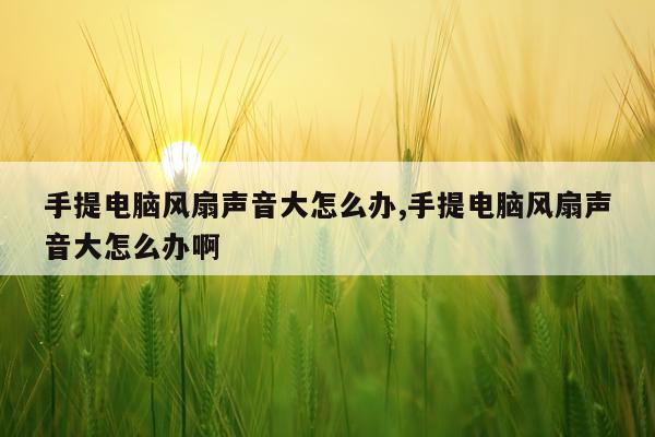 手提电脑风扇声音大怎么办,手提电脑风扇声音大怎么办啊