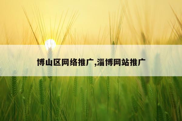 博山区网络推广,淄博网站推广