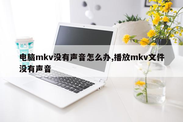 电脑mkv没有声音怎么办,播放mkv文件没有声音