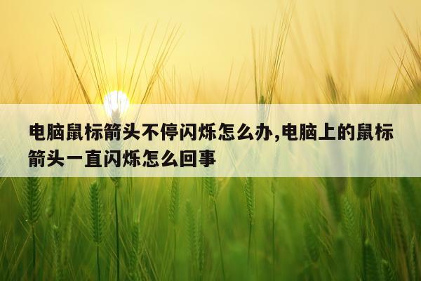 电脑鼠标箭头不停闪烁怎么办,电脑上的鼠标箭头一直闪烁怎么回事
