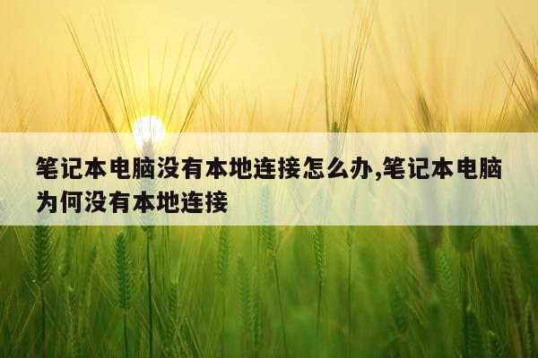 笔记本电脑没有本地连接怎么办,笔记本电脑为何没有本地连接