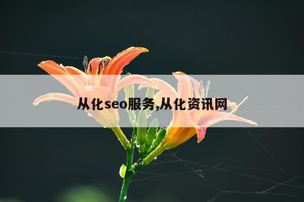 从化seo服务,从化资讯网