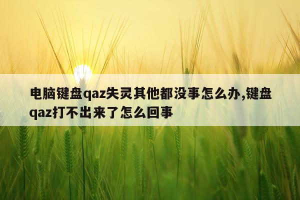 电脑键盘qaz失灵其他都没事怎么办,键盘qaz打不出来了怎么回事