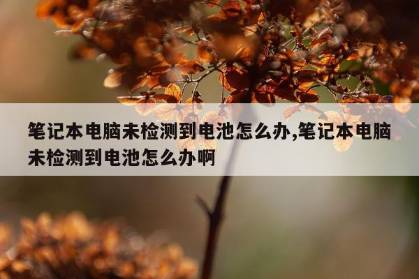 笔记本电脑未检测到电池怎么办,笔记本电脑未检测到电池怎么办啊