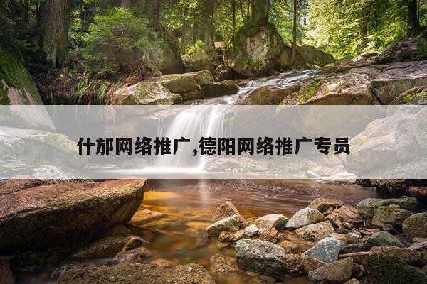 什邡网络推广,德阳网络推广专员