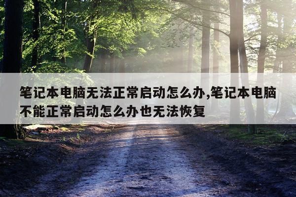 笔记本电脑无法正常启动怎么办,笔记本电脑不能正常启动怎么办也无法恢复
