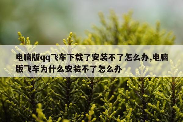 电脑版qq飞车下载了安装不了怎么办,电脑版飞车为什么安装不了怎么办