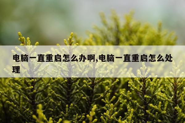 电脑一直重启怎么办啊,电脑一直重启怎么处理