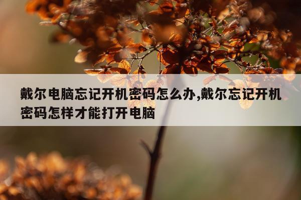 戴尔电脑忘记开机密码怎么办,戴尔忘记开机密码怎样才能打开电脑