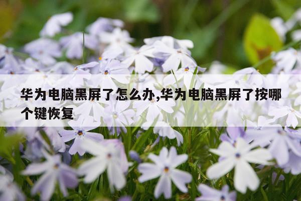 华为电脑黑屏了怎么办,华为电脑黑屏了按哪个键恢复
