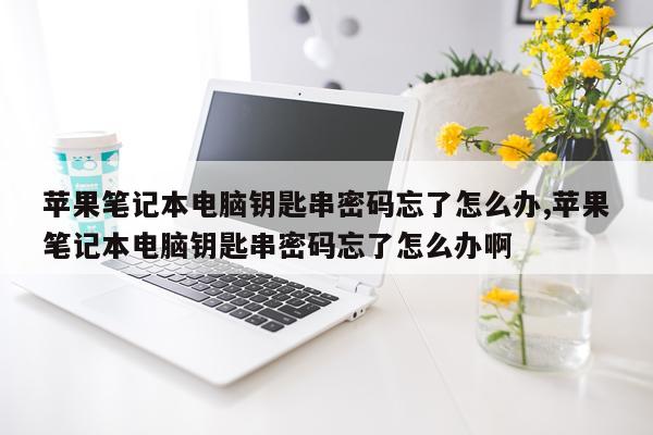 苹果笔记本电脑钥匙串密码忘了怎么办,苹果笔记本电脑钥匙串密码忘了怎么办啊