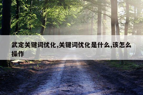 武定关键词优化,关键词优化是什么,该怎么操作
