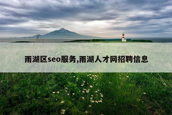 雨湖区seo服务,雨湖人才网招聘信息
