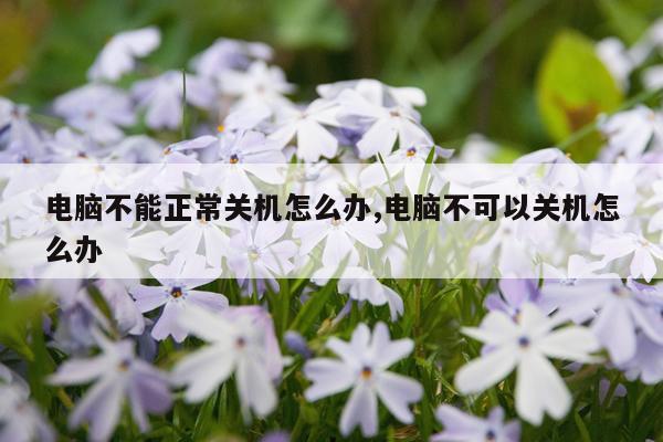 电脑不能正常关机怎么办,电脑不可以关机怎么办