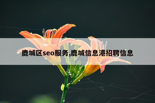 鹿城区seo服务,鹿城信息港招聘信息