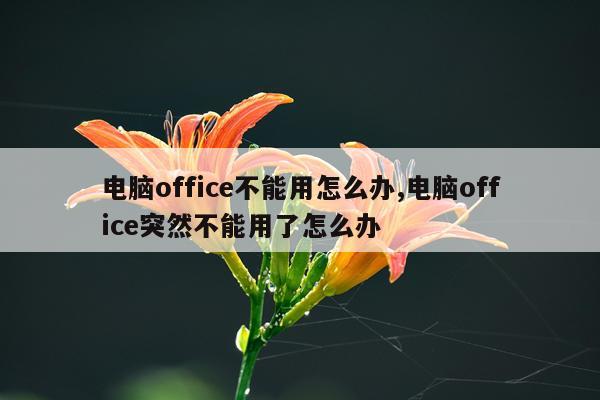 电脑office不能用怎么办,电脑office突然不能用了怎么办