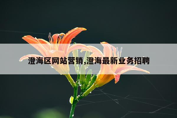 澄海区网站营销,澄海最新业务招聘