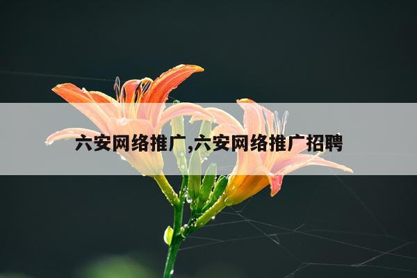 六安网络推广,六安网络推广招聘