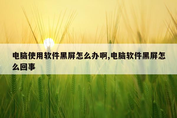 电脑使用软件黑屏怎么办啊,电脑软件黑屏怎么回事