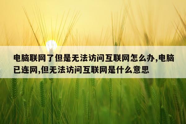 电脑联网了但是无法访问互联网怎么办,电脑已连网,但无法访问互联网是什么意思