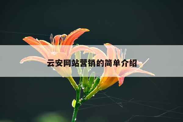 云安网站营销的简单介绍