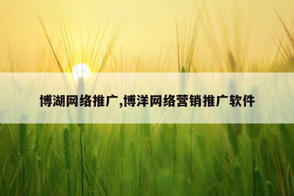 博湖网络推广,博洋网络营销推广软件