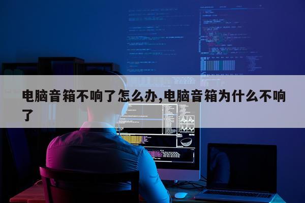 电脑音箱不响了怎么办,电脑音箱为什么不响了