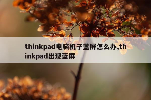 thinkpad电脑机子蓝屏怎么办,thinkpad出现蓝屏