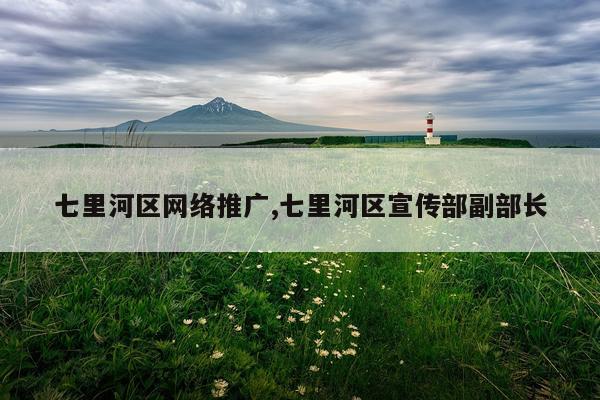 七里河区网络推广,七里河区宣传部副部长