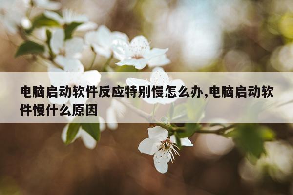 电脑启动软件反应特别慢怎么办,电脑启动软件慢什么原因