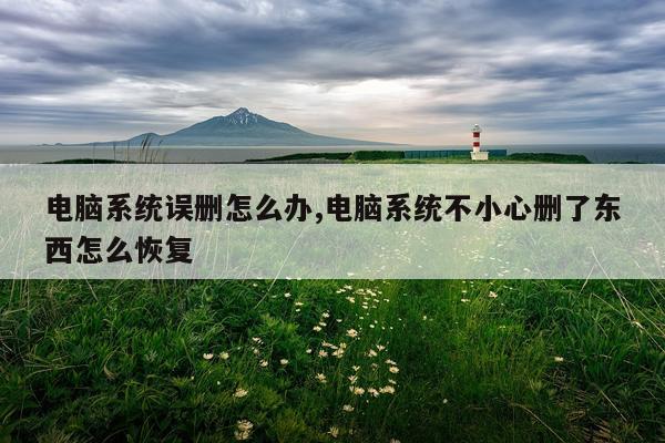 电脑系统误删怎么办,电脑系统不小心删了东西怎么恢复