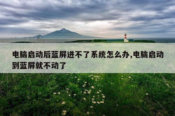 电脑启动后蓝屏进不了系统怎么办,电脑启动到蓝屏就不动了