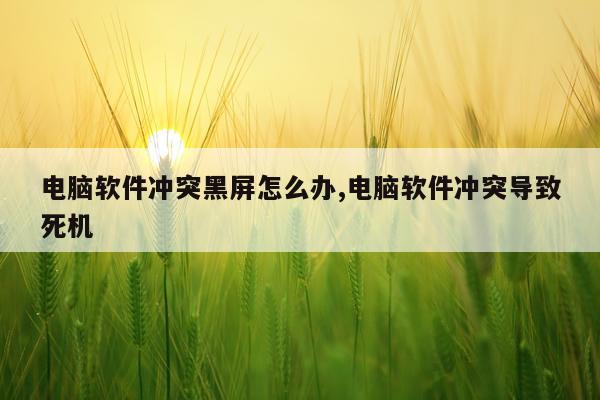 电脑软件冲突黑屏怎么办,电脑软件冲突导致死机