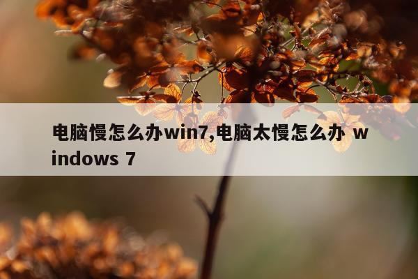 电脑慢怎么办win7,电脑太慢怎么办 windows 7