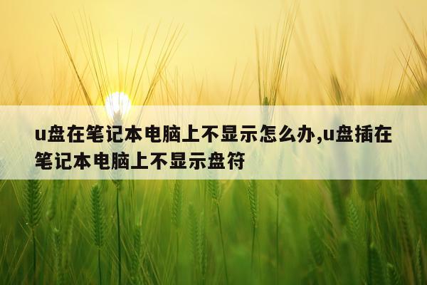 u盘在笔记本电脑上不显示怎么办,u盘插在笔记本电脑上不显示盘符