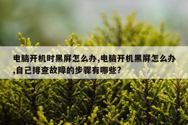 电脑开机时黑屏怎么办,电脑开机黑屏怎么办,自己排查故障的步骤有哪些?