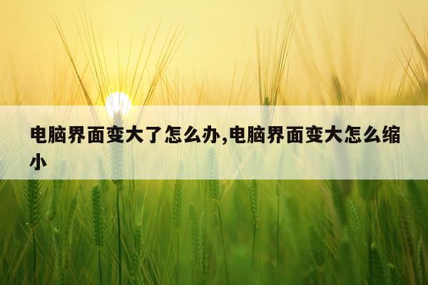 电脑界面变大了怎么办,电脑界面变大怎么缩小