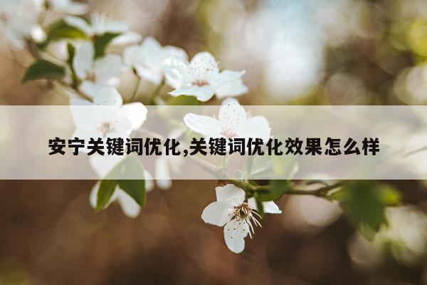 安宁关键词优化,关键词优化效果怎么样