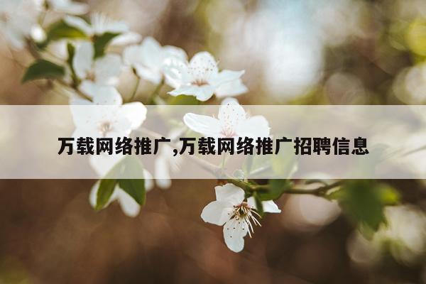 万载网络推广,万载网络推广招聘信息