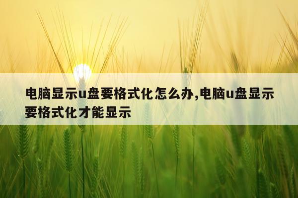 电脑显示u盘要格式化怎么办,电脑u盘显示要格式化才能显示