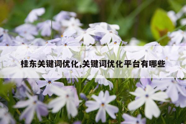 桂东关键词优化,关键词优化平台有哪些